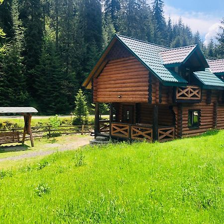 У ВІТИ котедж4 Синевирская Поляна Экстерьер фото
